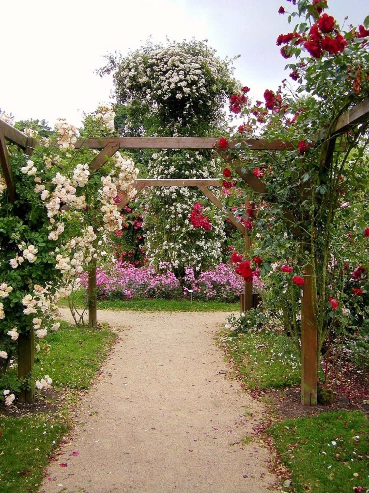 La Cloue Bed & Breakfast Sainte-Marie-du-Bois  Екстериор снимка