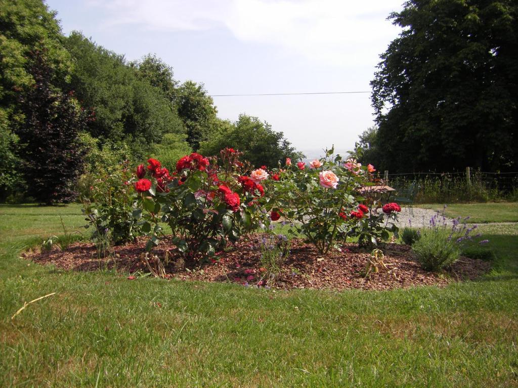 La Cloue Bed & Breakfast Sainte-Marie-du-Bois  Екстериор снимка
